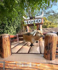 Mechanical Bull Rental Near Me: Best Guide 2026