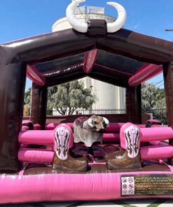Pink Western Mechanical Bull Rental (15’ x 15’)